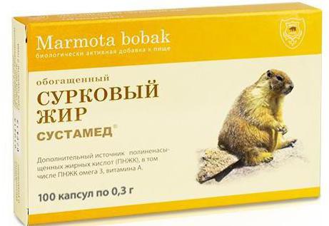 сурковый жир применение