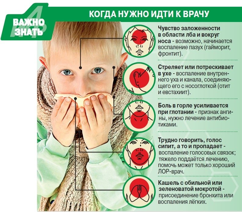 Что показывает рентген легких при пневмонии Что показывает рентген легких при пневмонии thumbnail