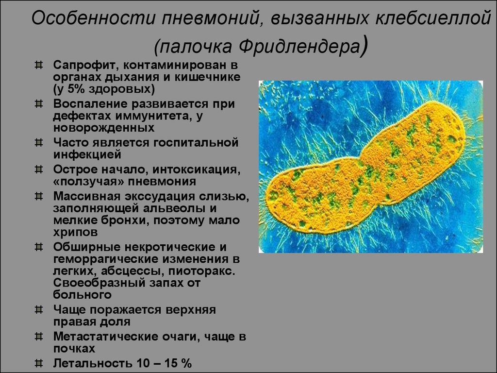 Пневмония вызвана палочкой Фридлендера