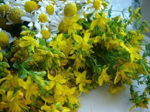 Ожог кожи при покраске волос