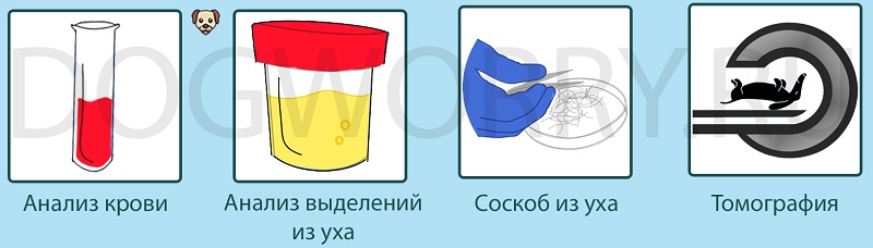 Диагностика болезни