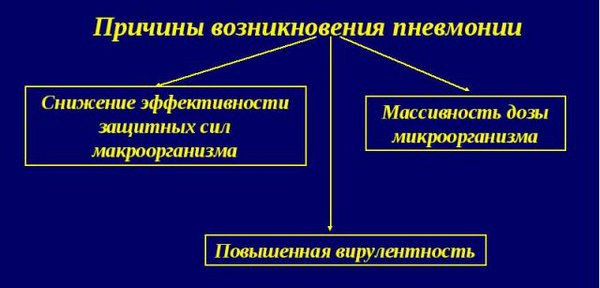 Причины возникновения пневмонии Причины возникновения пневмонии